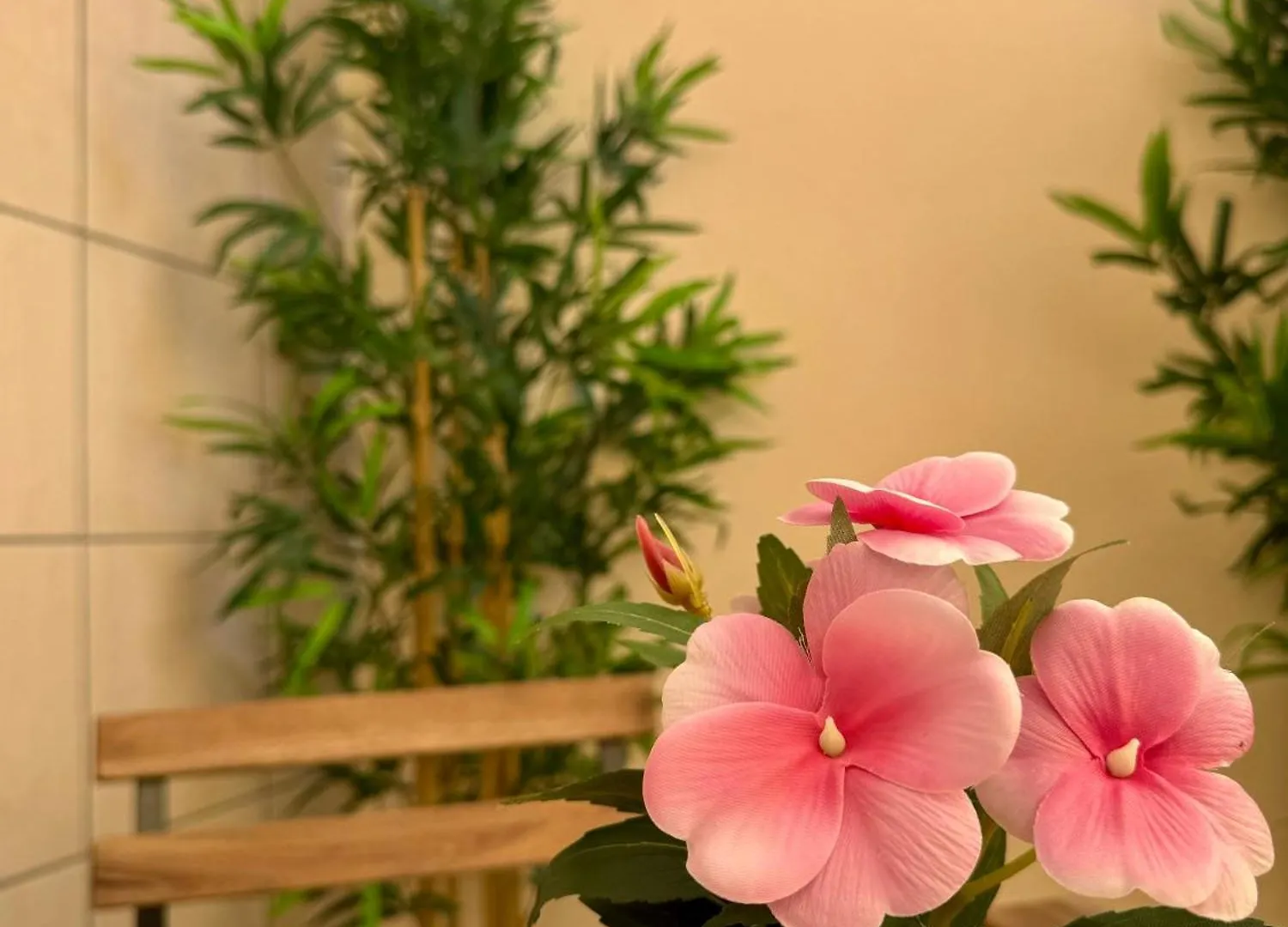 Deca Home 바리